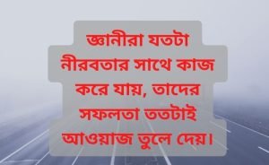 নীরবতা নিয়ে স্ট্যাটাস
