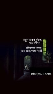 ব্যস্ত জীবন নিয়ে উক্তি