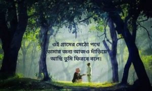 গ্রামের প্রকৃতি নিয়ে উক্তি