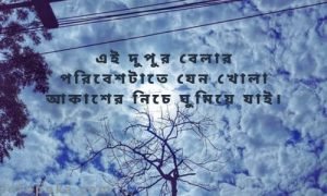 রোদেলা দুপুর নিয়ে উক্তি