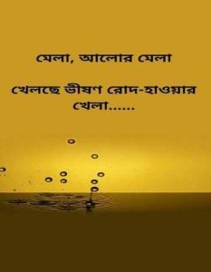 রোদ নিয়ে উক্তি