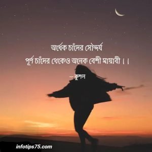 চাঁদনী রাত নিয়ে বানী