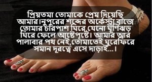 নূপুর নিয়ে স্ট্যাটাস