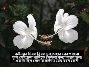 জবা ফুল নিয়ে স্ট্যাটাস