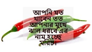 কাঁচা মরিচ নিয়ে মজার স্ট্যাটাস 