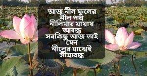 পদ্ম ফুল নিয়ে স্ট্যাটাস