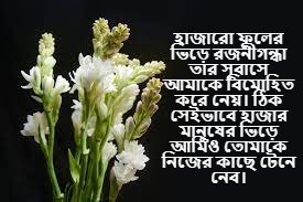 রজনীগন্ধা ফুল নিয়ে স্ট্যাটাস 