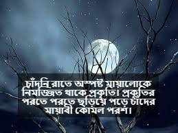 চাঁদের আলো নিয়ে স্ট্যাটাস
