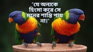 হিংসা বা ঈর্ষা নিয়ে স্ট্যাটাস