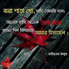 ঝরা পাতা নিয়ে স্ট্যাটাস 