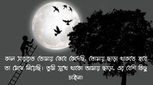 নির্ঘুম রাতের উক্তি 