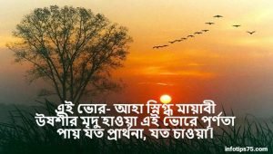 ভোর নিয়ে ছন্দ