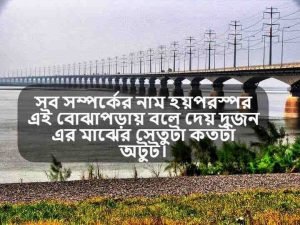ব্রিজ নিয়ে উক্তি 