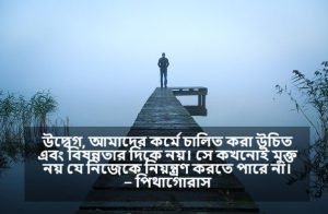 বিষন্নতা নিয়ে উক্তি
