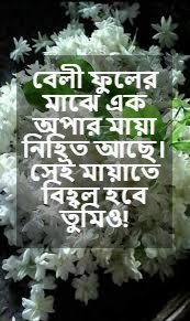 বেলি ফুল নিয়ে উক্তি