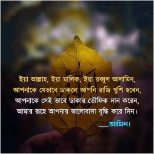 আল্লাহর প্রশংসা করা নিয়ে স্ট্যাটাস