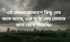 মেঘলা বিকেল নিয়ে স্ট্যাটাস 