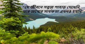 সবুজ প্রকৃতি নিয়ে বাণী