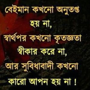 সুবিধাবাদী নিয়ে স্ট্যাটাস