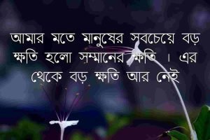 শ্রদ্ধা নিয়ে বাণী