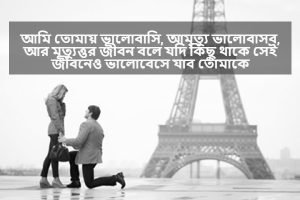 প্রেম নিবেদনের রোমান্টিক স্ট্যাটাস