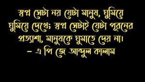 ঝুঁকি নিয়ে বাণী
