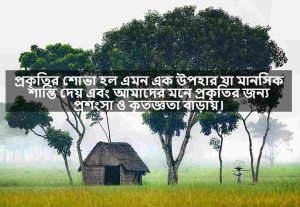 প্রাকৃতিক শোভা নিয়ে বাণী