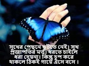 প্রজাপতি নিয়ে উক্তি 