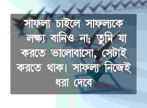 ঝুঁকি নিয়ে ক্যাপশন