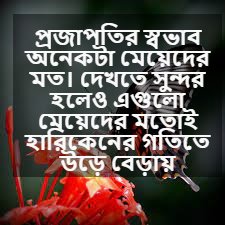 প্রজাপতি নিয়ে স্ট্যাটাস 