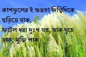 কাশফুল নিয়ে রোমান্টিক ক্যাপশন