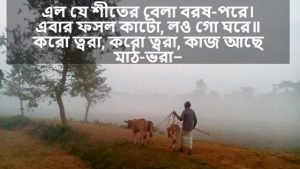 শীতের সকালের বাণী