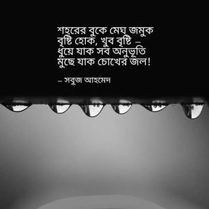 মেঘলা বিকেল নিয়ে বাণী 