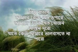 বাতাস নিয়ে স্ট্যাটাস