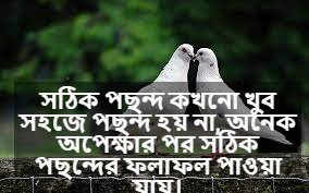 পছন্দ নিয়ে স্ট্যাটাস