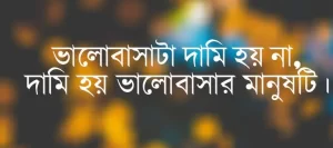 রোমান্টিক ভালোবাসা নিয়ে বাণী 
