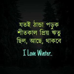 শীত নিয়ে রোমান্টিক ক্যাপশন