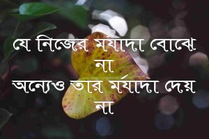 শ্রদ্ধা নিয়ে স্ট্যাটাস