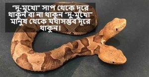 দুমুখো মানুষ নিয়ে স্ট্যাটাস