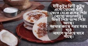 শীতের পিঠা নিয়ে কবিতা 