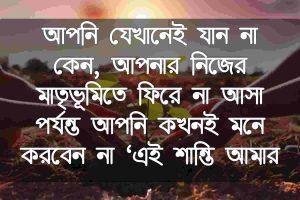 মাতৃভূমি নিয়ে বাণী