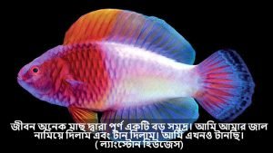 মাছ নিয়ে ক্যাপশন
