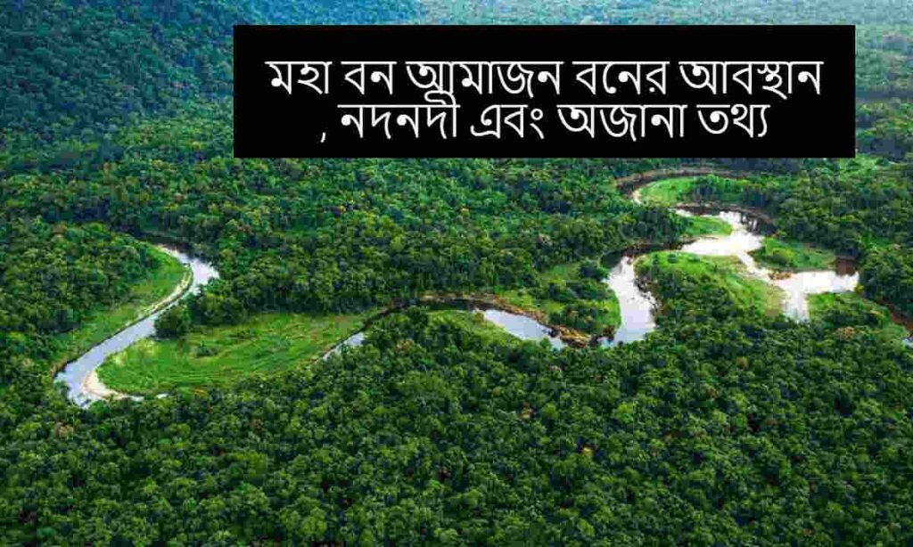 মহা বন আমাজন বনের অবস্থান