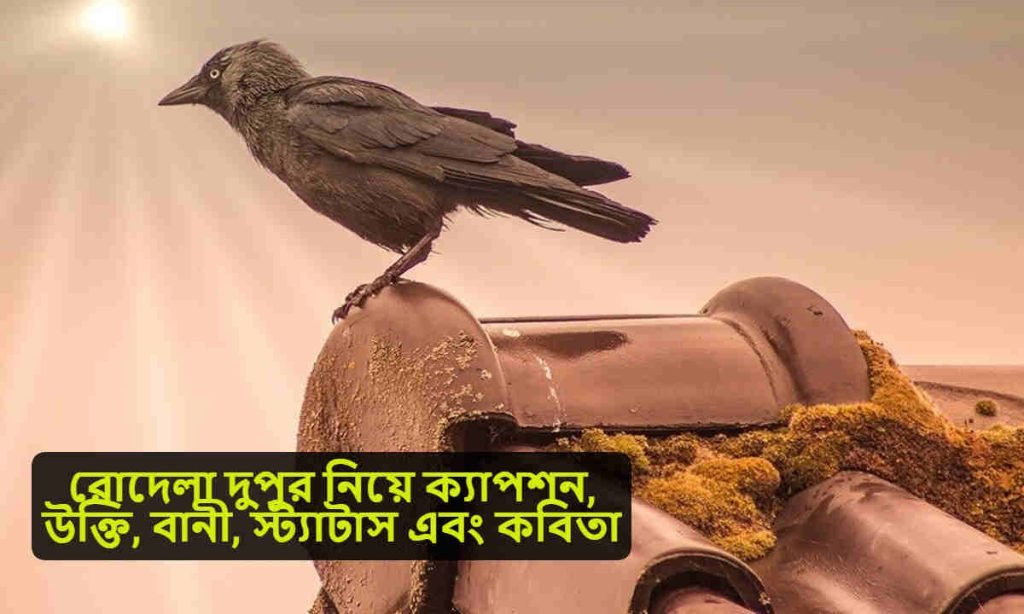 রোদেলা দুপুর নিয়ে ক্যাপশন