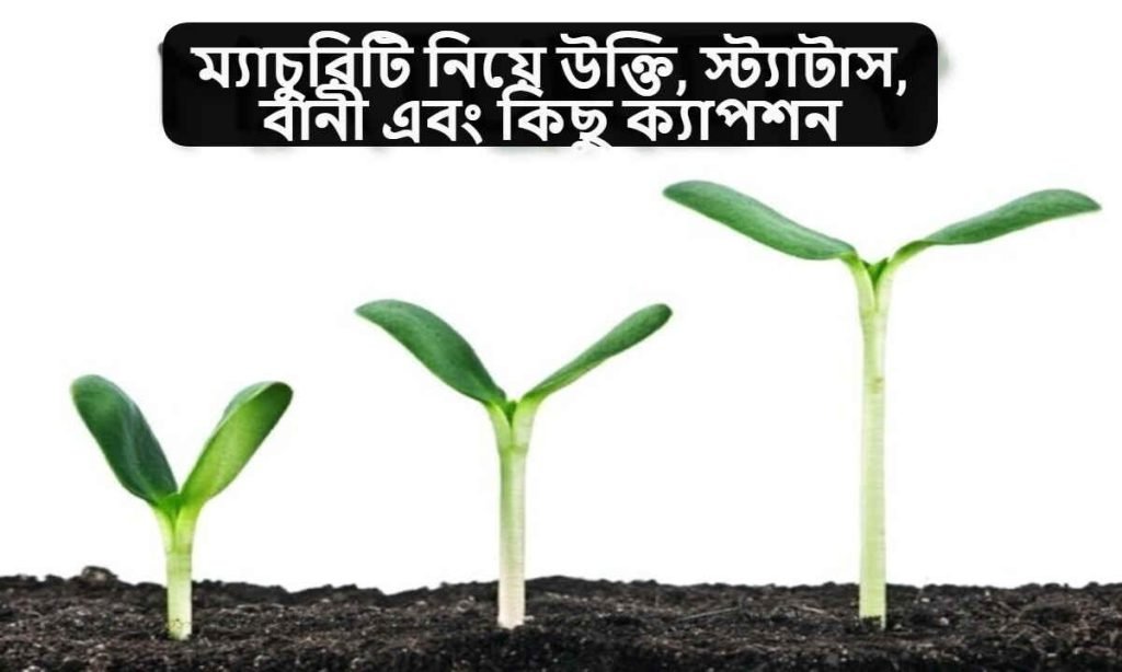 ম্যাচুরিটি নিয়ে উক্তি