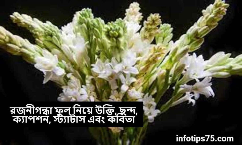 রজনীগন্ধা ফুল নিয়ে উক্তি