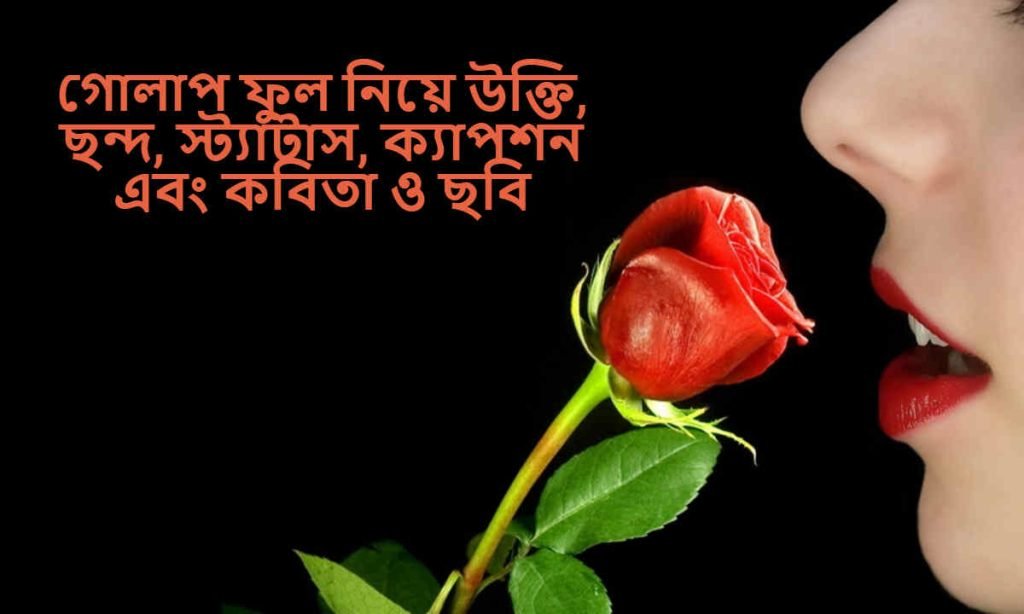 গোলাপ ফুল নিয়ে উক্তি