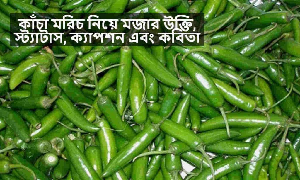 কাঁচা মরিচ নিয়ে মজার উক্তি