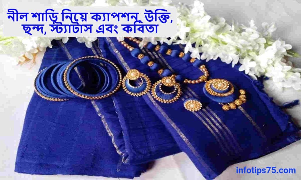 নীল শাড়ি নিয়ে ক্যাপশন