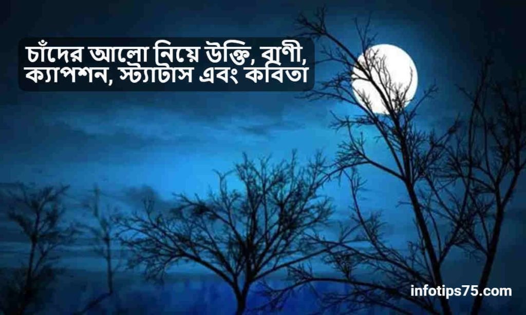 চাঁদের আলো নিয়ে উক্তি